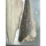 FILETES DE BACALAO NORUEGO CON PIEL